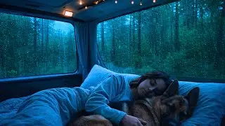 Rain on Window at Night 🌧️ Fall Asleep Fast | Deep Sleep & Relaxation