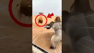 O Rei da Selva Perderia Para Esses 5?