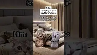 CAT MEMES 🐱Sleeping at your boyfriend's house #catmemes #relatable #relationship