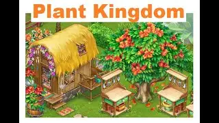 Plant Kingdom set up and walk thru