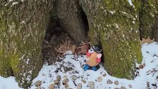 Mr Potato Head hasn't moved