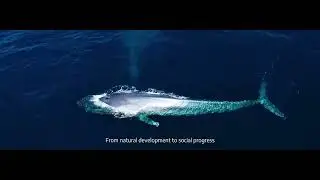 Hotgen Company Profille Video