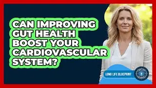 Can Improving Gut Health Boost Your Cardiovascular System? - Long Life Blueprint