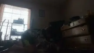 Kitty Cat video part 2