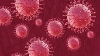 China prepares for dramatic surge of COVID infections this summer