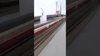 ROCO TEE Ho scale speeding with train horn.