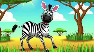 COLOR SAFARI - The Zebra sees BLACK