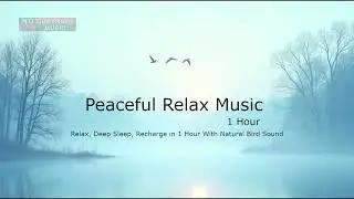 Peaceful Power Nap Music (No Copyright) Deep Sleep & Recharge 1 Hour#1hour #relaxingmusic #healing