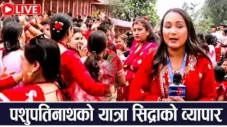 पशुपतिनाथमा तीजको रौनकबीच मेहन्दी लगाउने लगायतको व्यापार चम्कियो