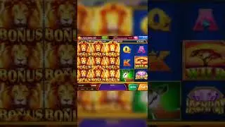 Golden Casino - Wizards Lab + Savanna 4