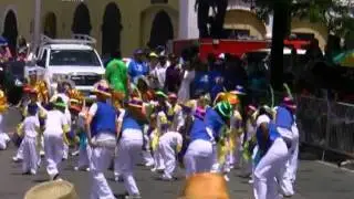 VI Montessori School - Carnival 2011 - Chidren's Parade.avi