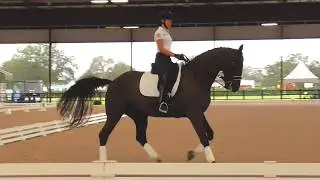 Laura Graves: How to Fix Head Tilt In Your Dressage Horse