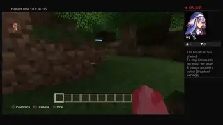 Is this a doable tutorial??
