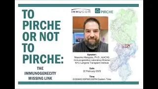 Webinar: To PIRCHE or Not to PIRCHE