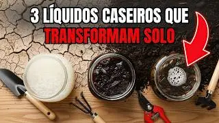3 Líquidos Caseiros Que Transformam Solo Duro em Terra Fofa (Sem Químicos)