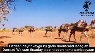 Abwaan dhagafiin gabaygii SAMIR 