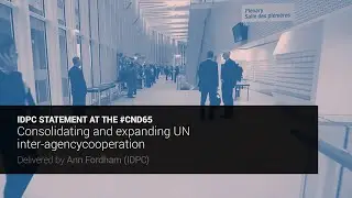 IDPC Statement at the 65th Session of the UN Commission on Narcotic Drugs