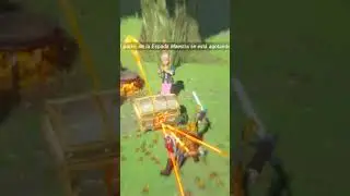 Practicing the Flurry Rush glitch | Zelda breath of the wild clips #zelda #botw #shorts #zeldabotw