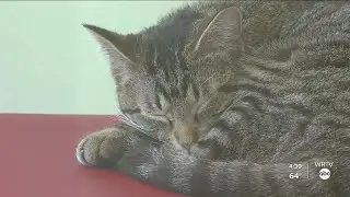 Brand new headquarters for Humane Society for Hamilton County