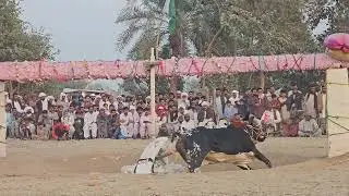 ماشاءاللہ جی جلسہ 18.1.2026 بمقام جھوک اترا داند سردار آف ڈیرہ پہلی پوزیشن ماشاءاللہ 