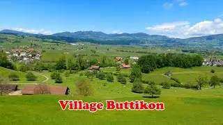 Village Buttikon, Spring walk around village Buttikon, Switzerland 🇨🇭 Swiss Alps