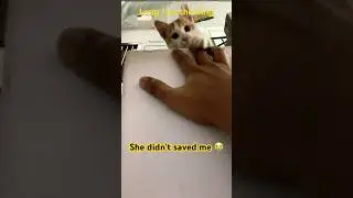 The lion king emotional scene#lionking#thelionking