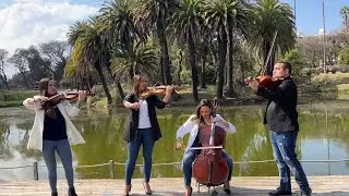 Canon ( Pachelbel ) - Violines - viola -chelo