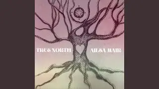 True North