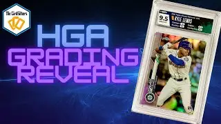 HGA GRADING REVEAL! NEW COMPANY-COLORFUL SLABS!