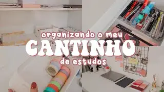 ORGANIZANDO O MEU CANTINHO DE ESTUDOS ✨📚