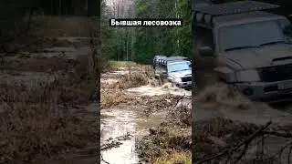 Когда поставил шины 42 дюйма и не можешь накататься😁 #nissanpatrol #экспедиция #patrol