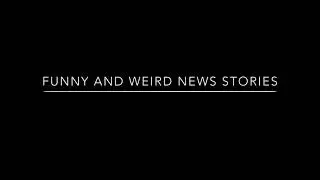 FUNNY/WEIRD NEWS STORIES