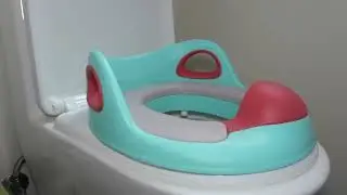 The Best Potty Seat On Amazon!
