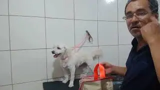 O último do sábado