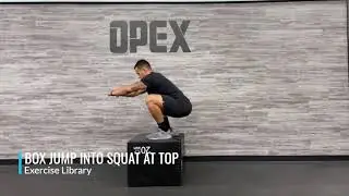 Box Jump into Squat at Top