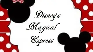Episode 3: Disney's Magical Express
