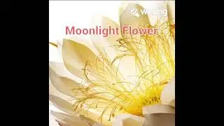 Moonlight Flower ~ Chyi Yu ( VCover MJ)