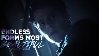 Stiles • Why can't you trust anyone?