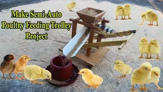 Make feed distribution trolleys for poultry farms
