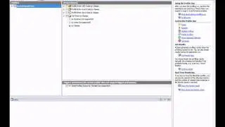 AQtime: Attaching to Process