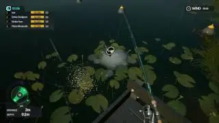 Dovetail Fishing Game === my first tournament