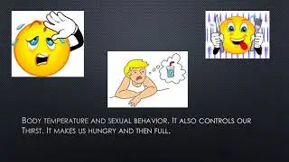 AP Psychology- Parts of the brain song