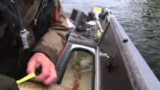 Nipigon River Adventures
