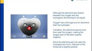 Water is a Polar Molecule