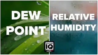 Weather IQ: Dew point vs. relative humidity