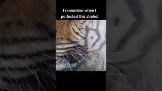 🖌️🐅Perfect Tiger Whiskers: A Simple Painting Hack #tiger #art #paintingtechniques