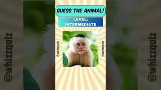 Guess These Fascinating Animals! 🐾 Challenging But Fun Animal Quiz V01