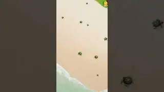 Boom Beach A bunch of turtles on beach