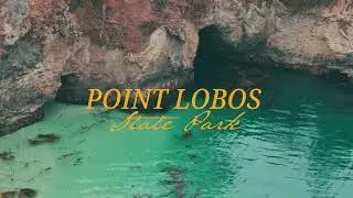 Fujifilm X100VI | Exploring Point Lobos (Cypress Grove & China Cove)