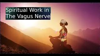 The Spiritual Awakening of the Vagus Nerve - Unveiling the Three Phase Process